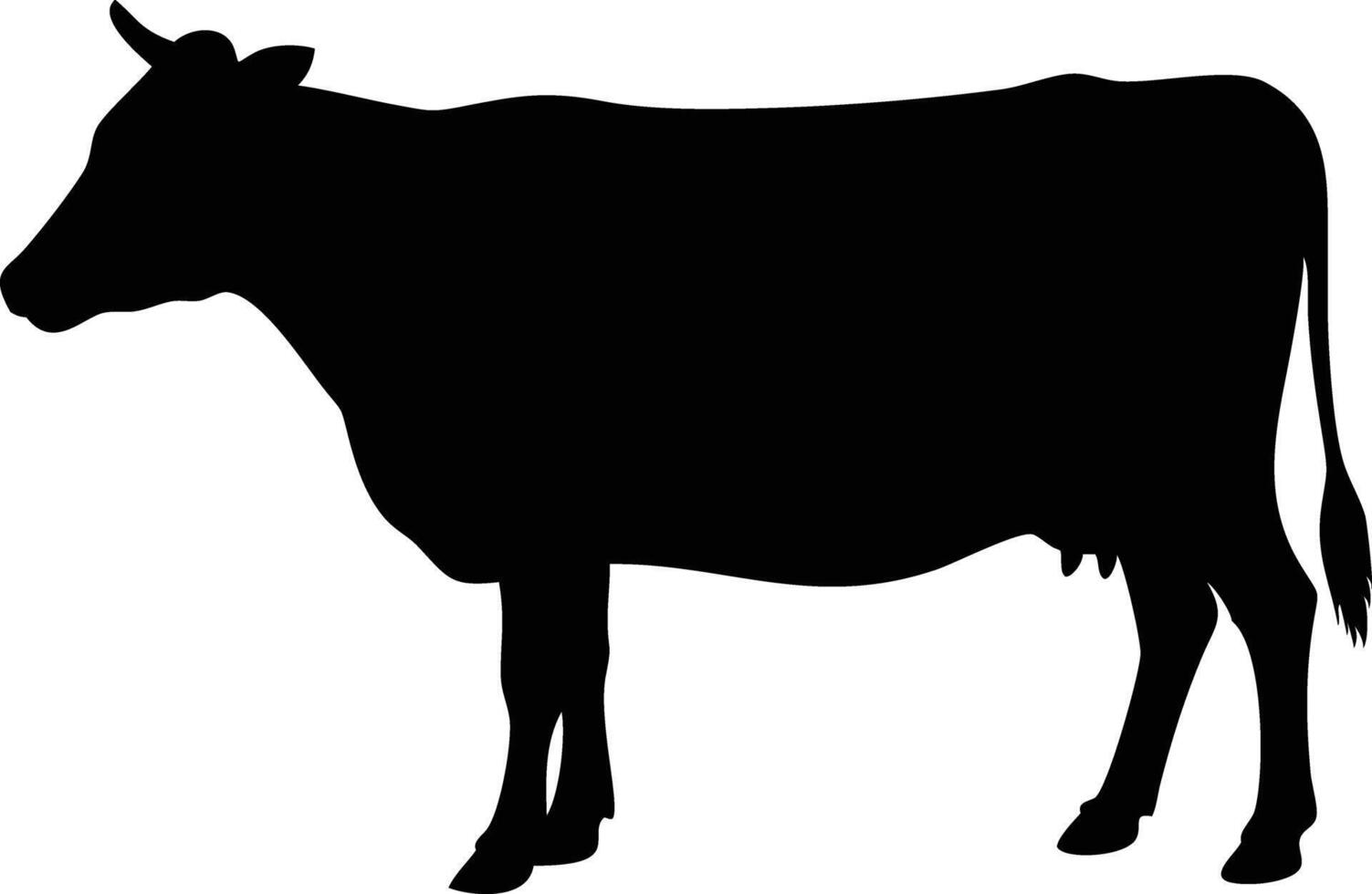 Cow Silhouette Isolated, Farm Animal , Dairy Cattle Outline, Black and White vector