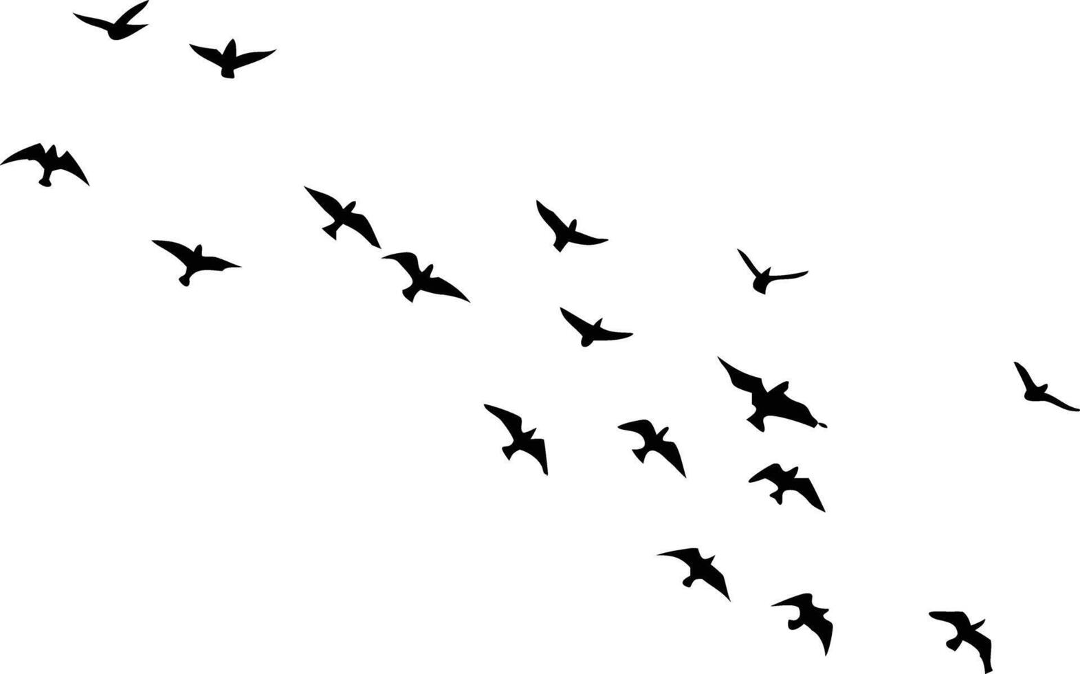 Flock of Birds Silhouettes Flying Together Isolated on White Background. Avian Group vector