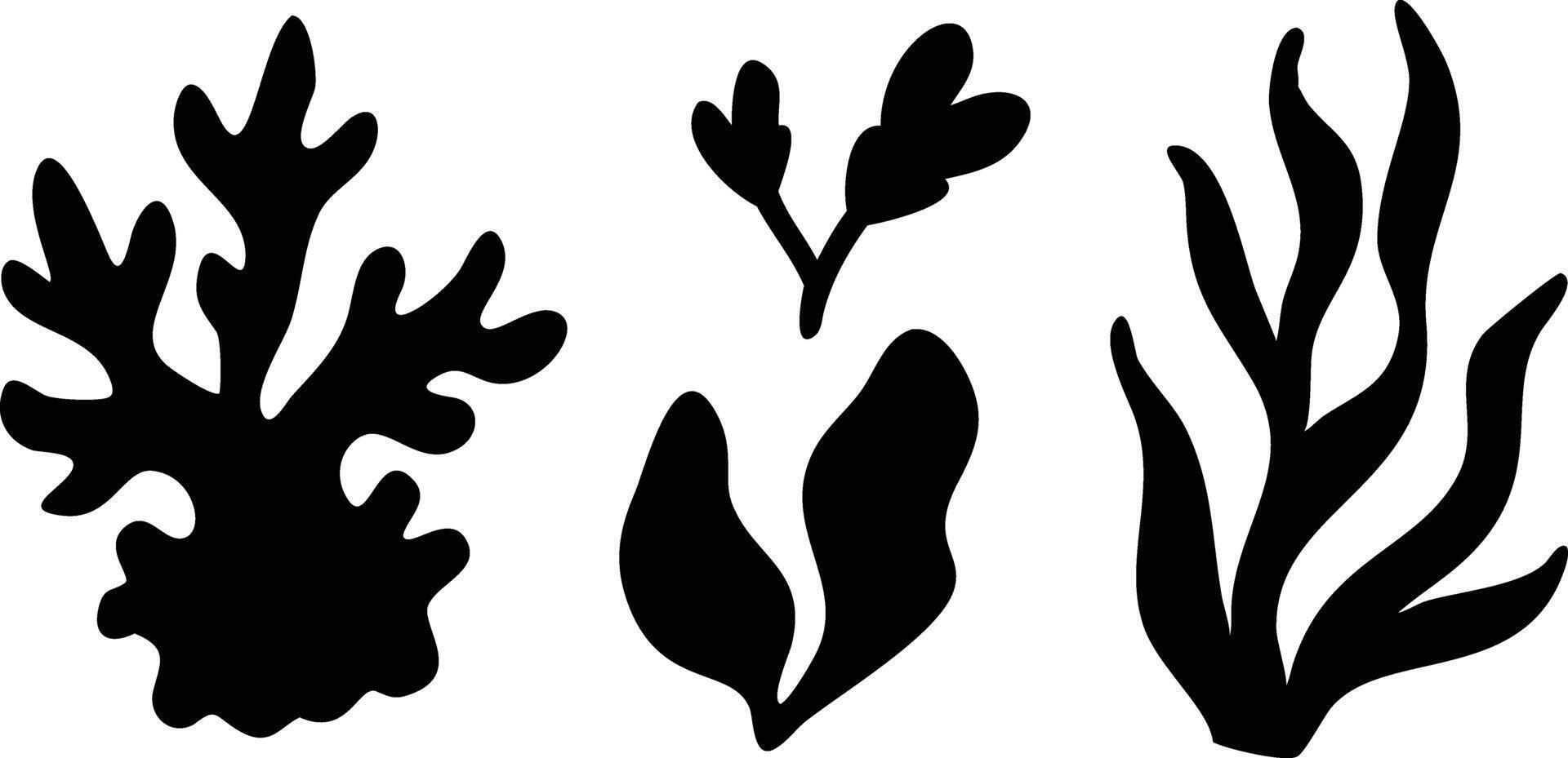 Three Various Black Seaweed Silhouette Illustrations Isolated on White Background vector