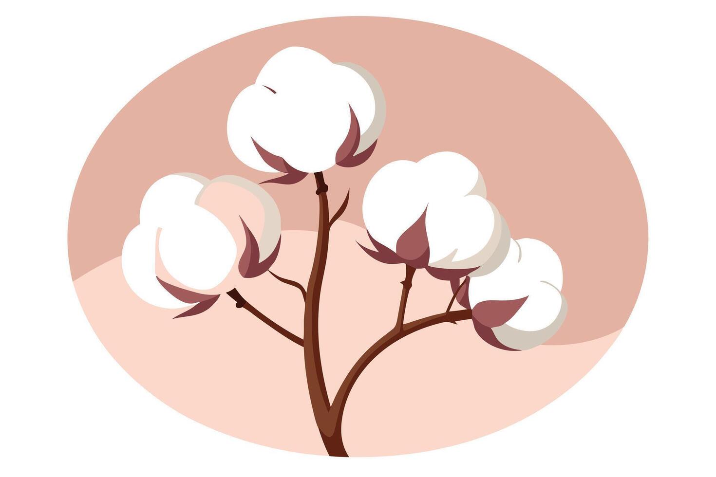 Cotton Plant Bolls on Light Red Circle Background, Fiber Crop, Organic vector