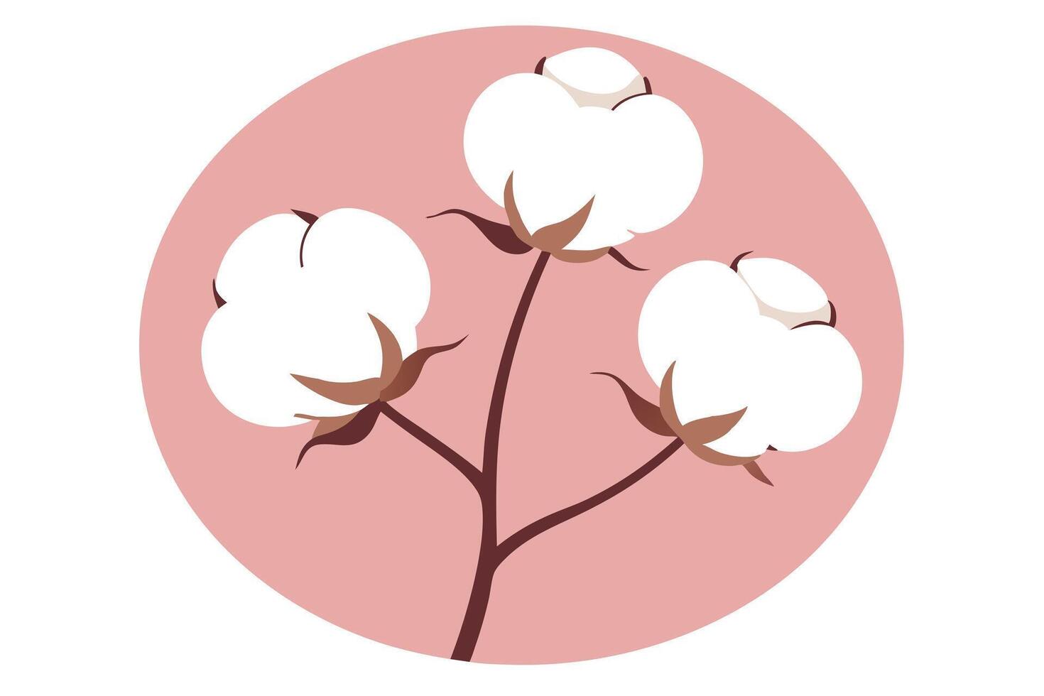 Three Cotton Flower Heads on a Stem with Pink Circular Background Design vector