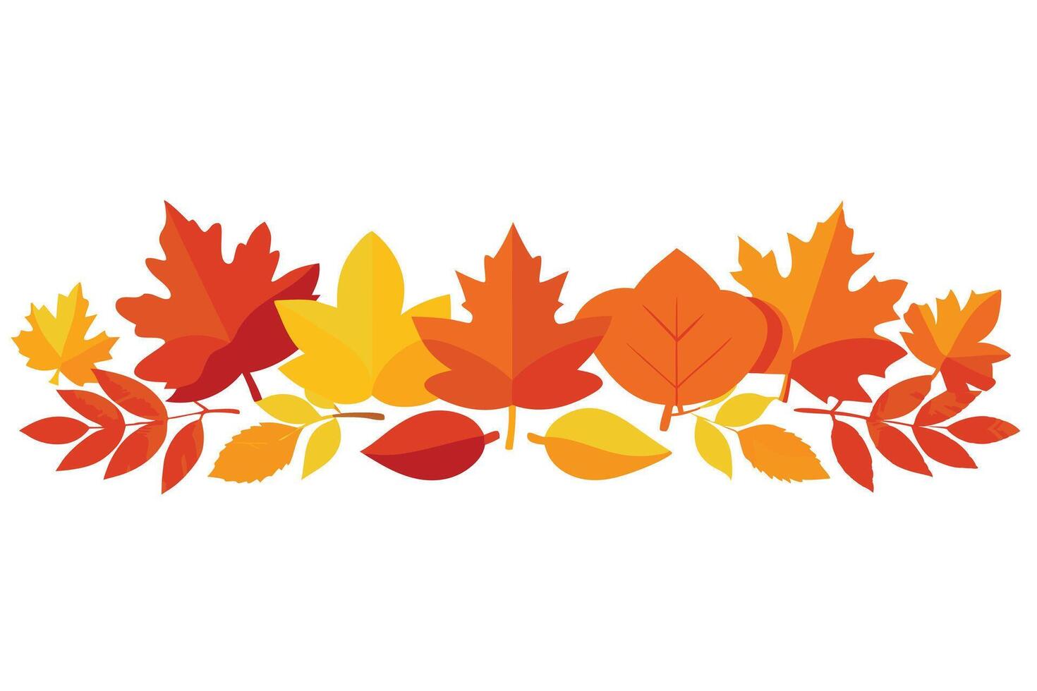 Autumnal Array Colorful Leaves Border on White Background Arrangement vector
