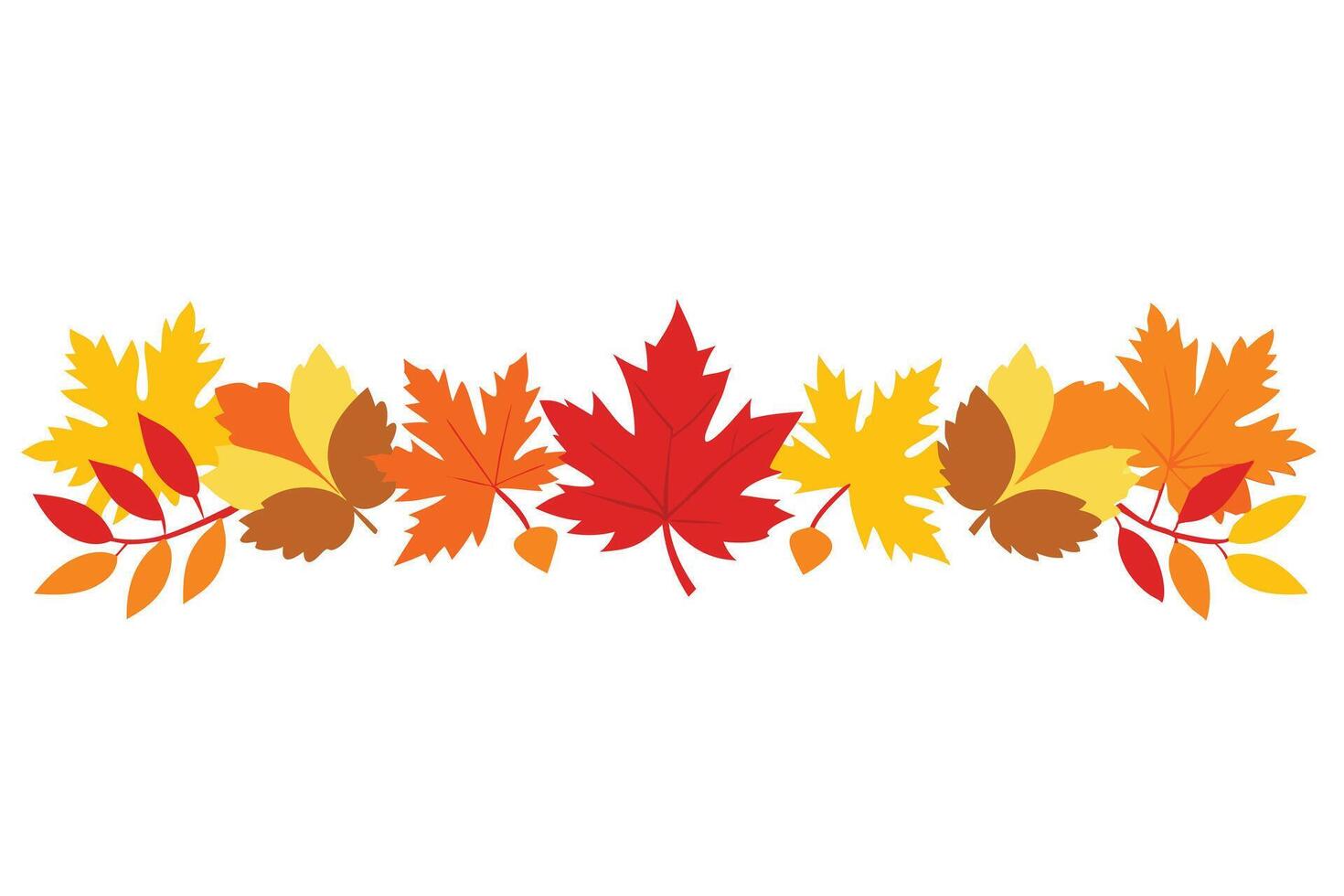 Autumn Foliage Border with Maple and Oak Leaves in Yellows and Reds on White vector
