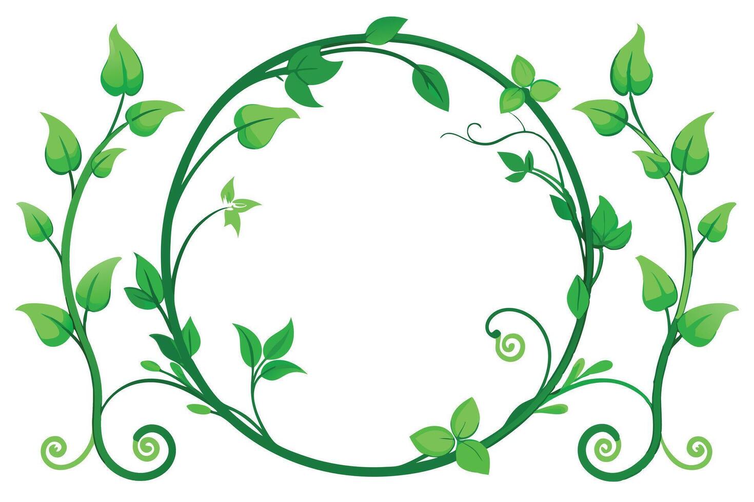 Green Vines and Leaves Circle Isolated on White Background, Nature Element vector
