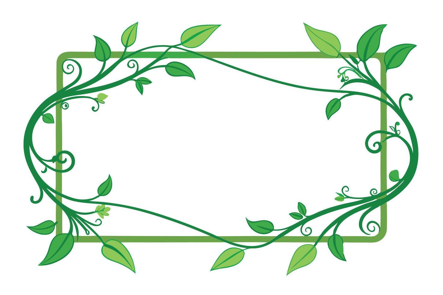 Green Botanical Frame, Vine Border with Leaves and Swirls, White Background, Nature vector
