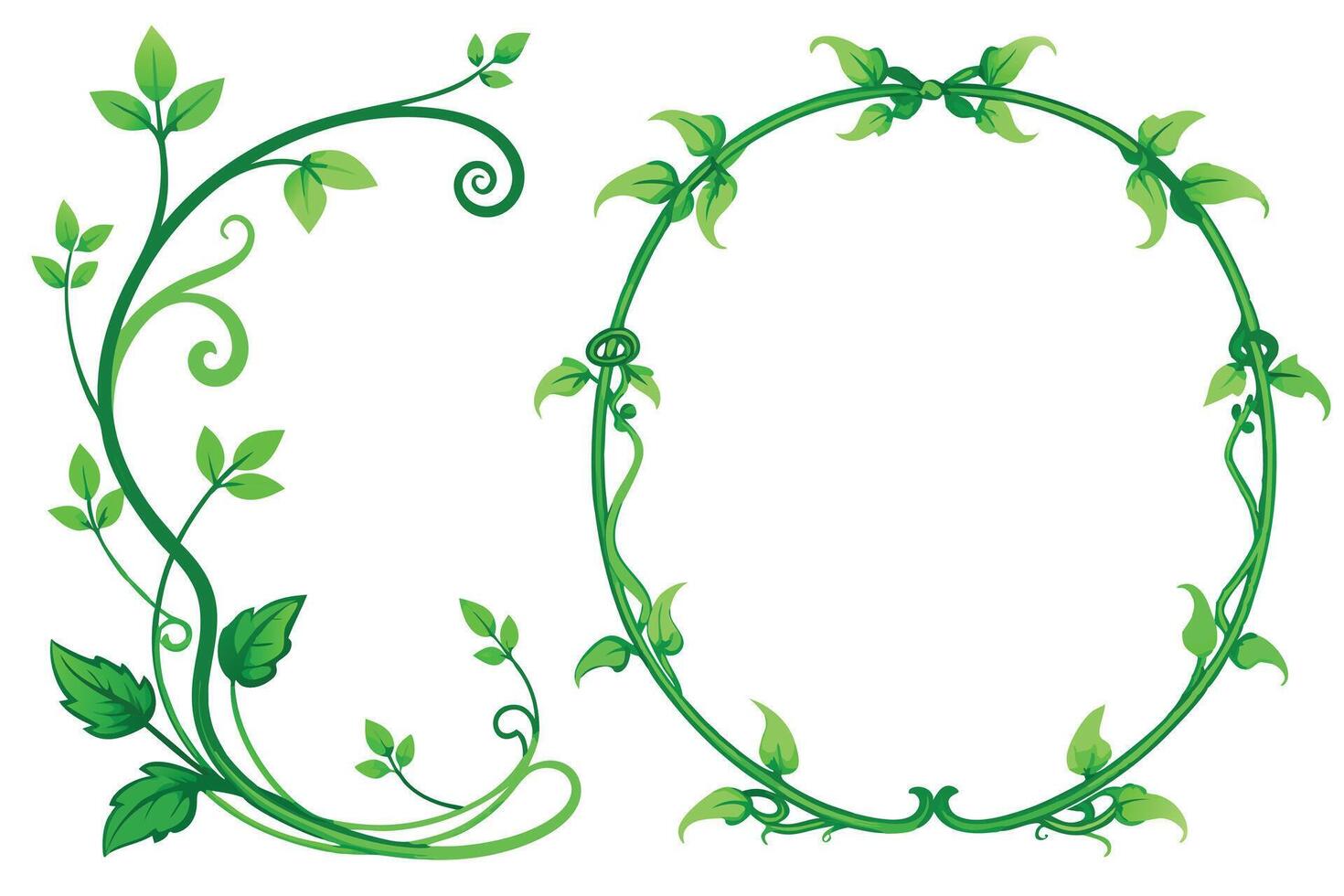 Green Vine Foliage Border with Circle and Curved Stem Design on White Background vector