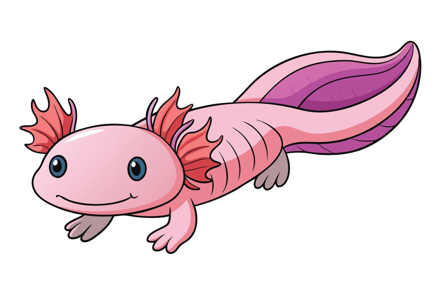 Cartoon Axolotl Pink Amphibian Character with Gills on a Transparent Background vector