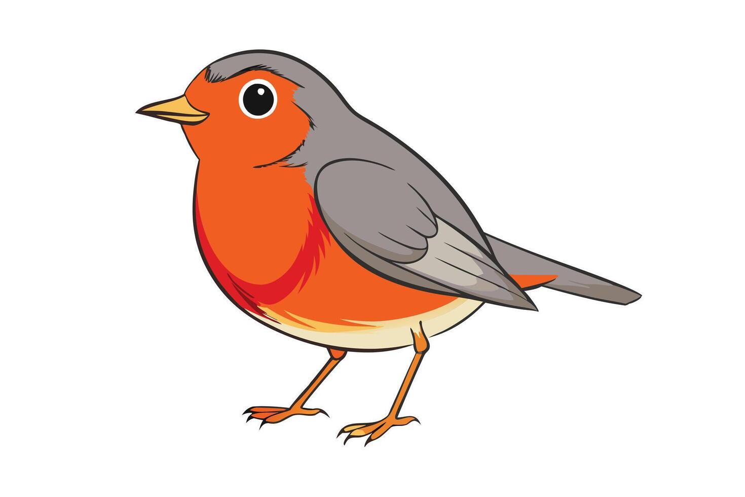 Cartoon Robin Bird with Orange Breast and Gray Wings on white background vector