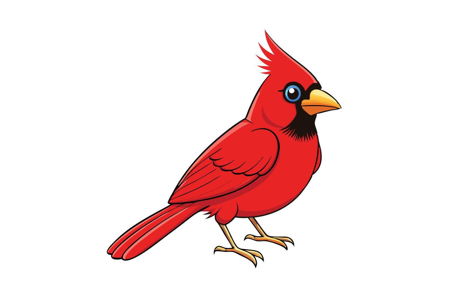 Detailed Cartoon Cardinal Bird with a White Background vector