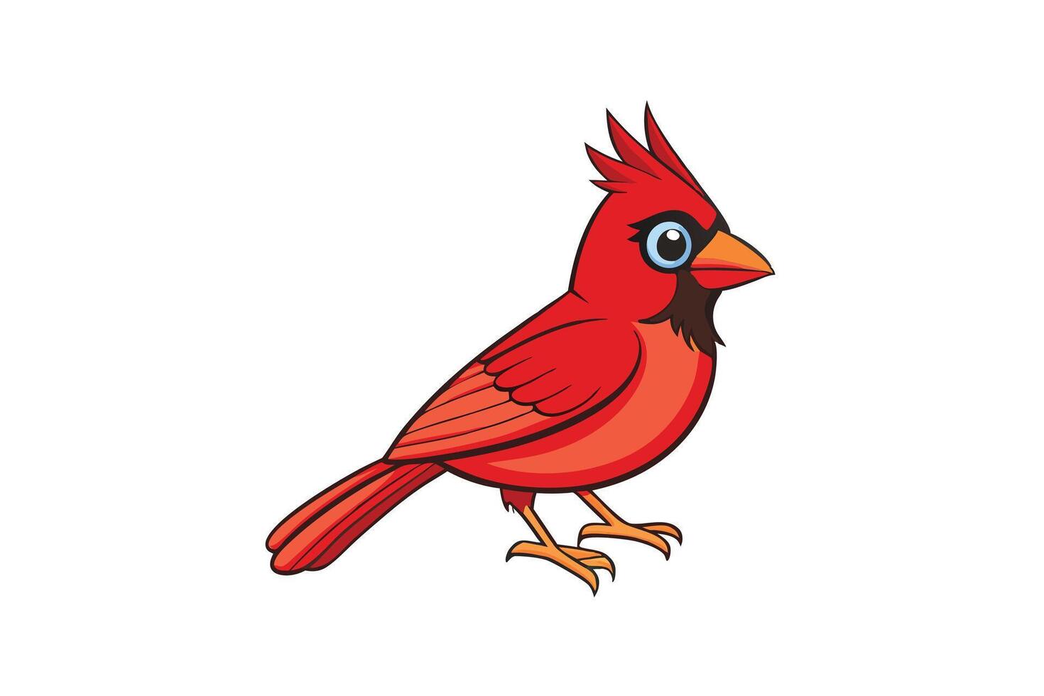 Cardinal On White Background, Cartoon Bird, Wildlife Animal Design vector