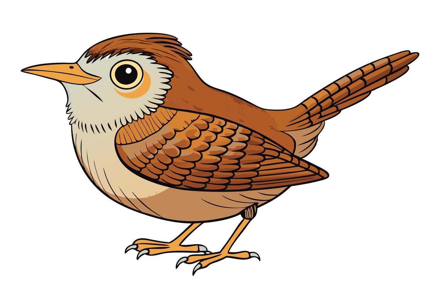 Cartoon Carolina Wren with Brown Plumage and Perky Posture Isolated on White vector
