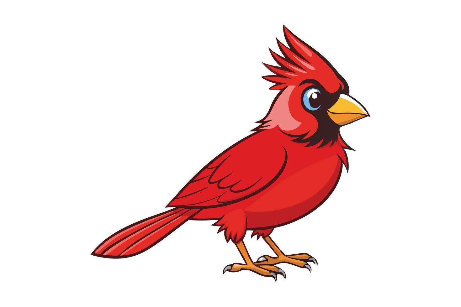 Cartoon Red Cardinal Bird with Detailed Feathers on a White Background vector