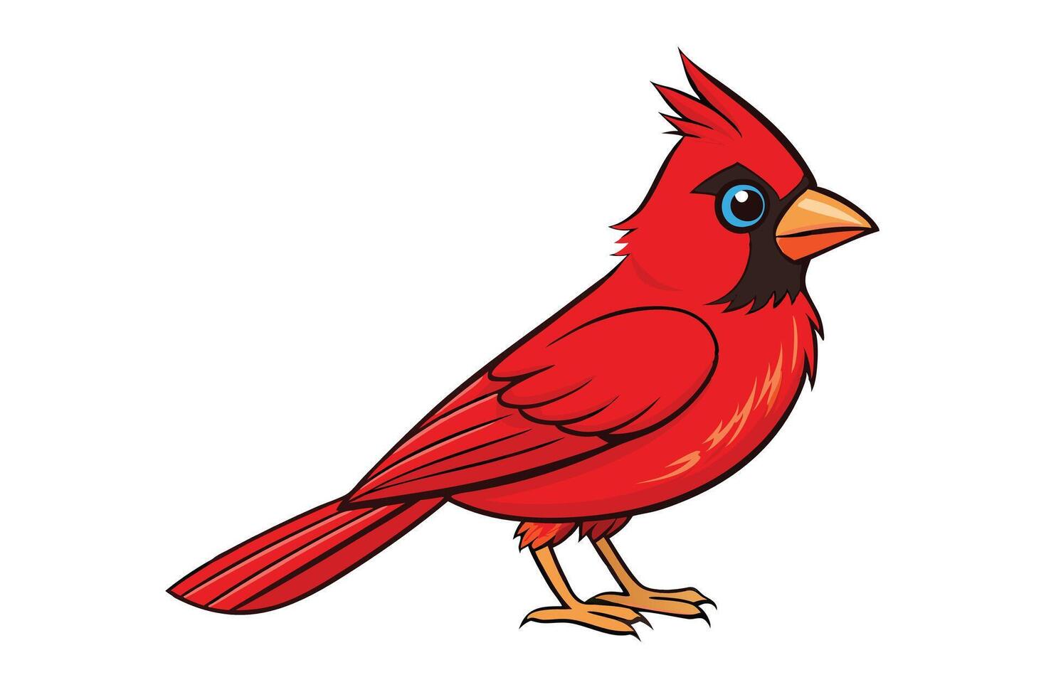 Cartoon Red Cardinal Bird Isolated on White Background vector