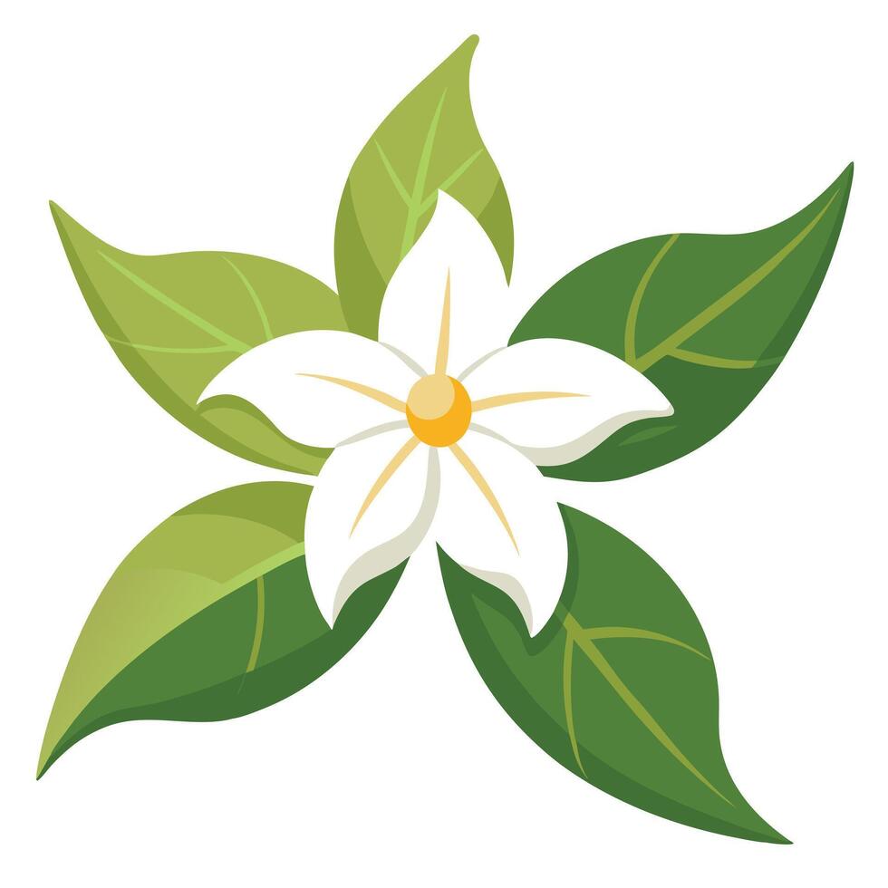 Simple White Flower with Green Leaves Flat on Transparent Background vector
