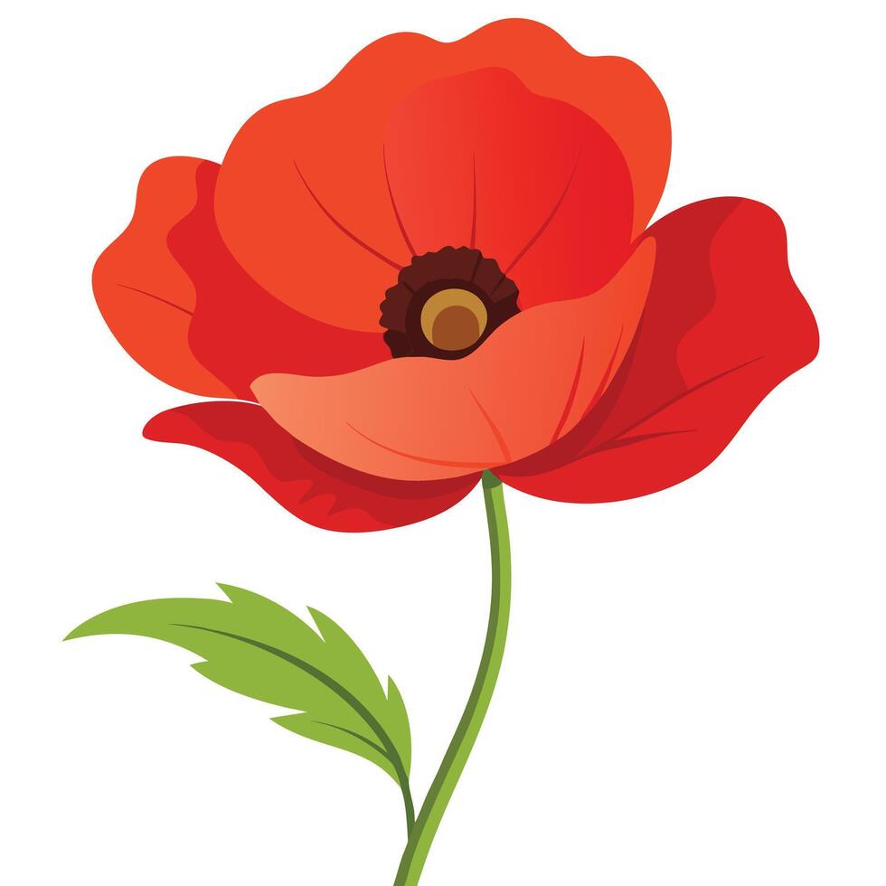 Isolated Red Poppy with Green Stem and Leaf on White Background vector