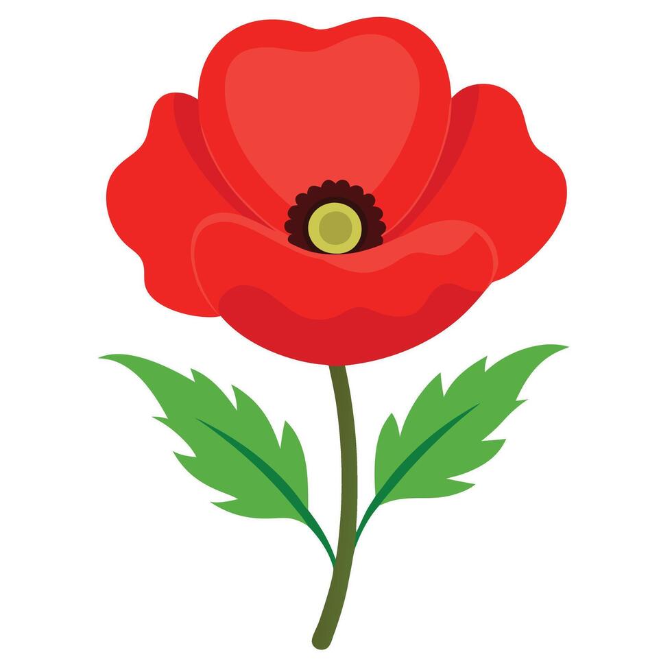 Simple Flat of a Poppy Flower with Leaves on White Background vector