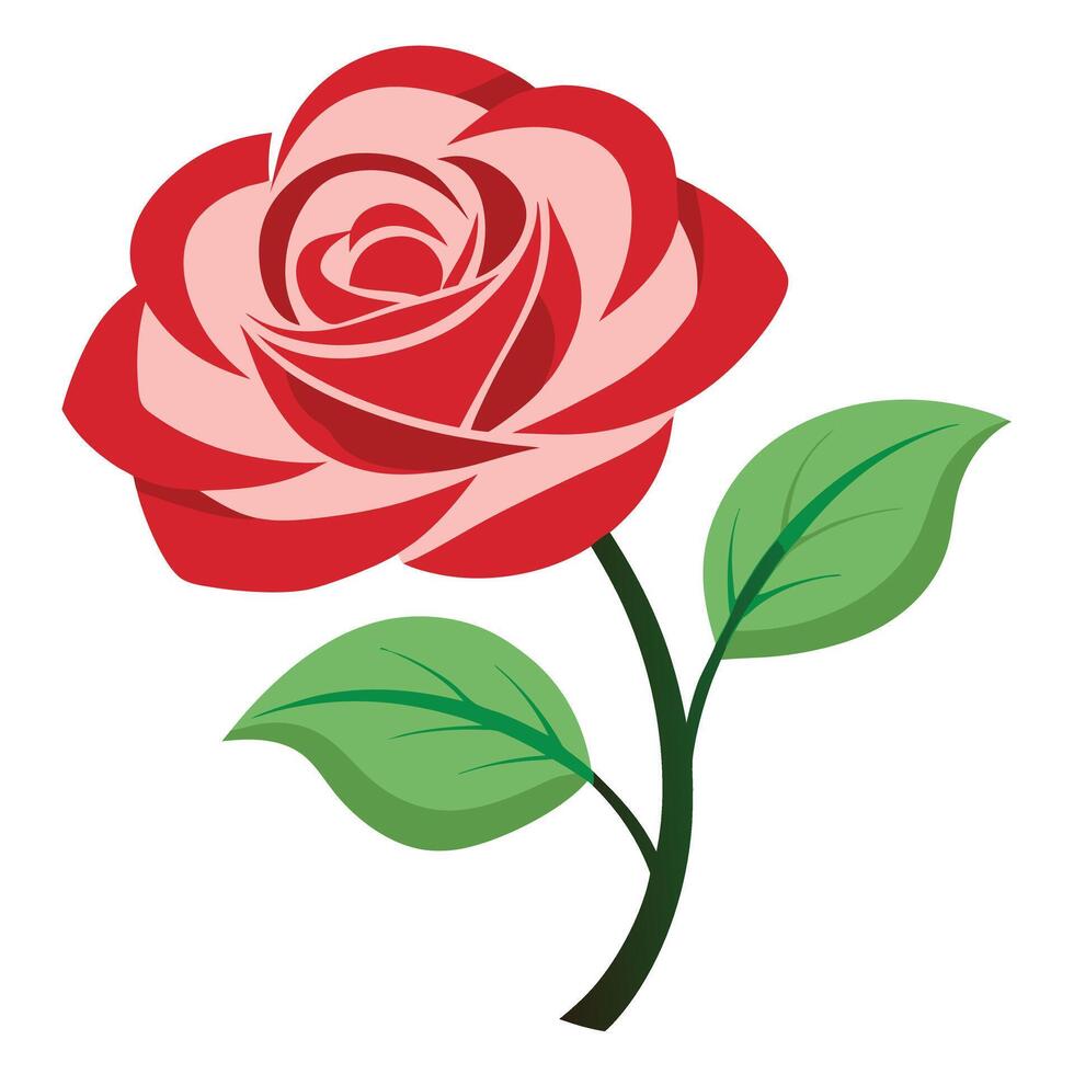 Isolated Red Rose with Green Leaves on White Background, Floral Design vector