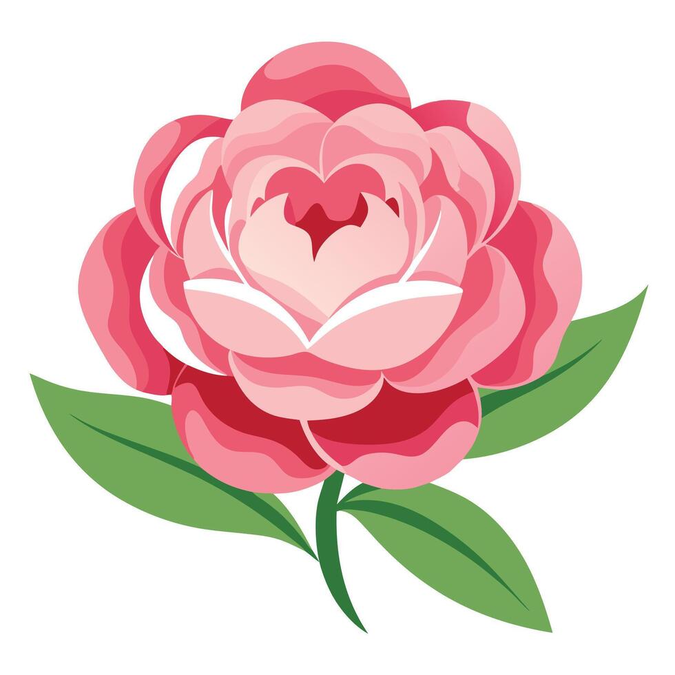 Isolated Pink Rose with Green Leaves on a White Background Modern Flat Design vector