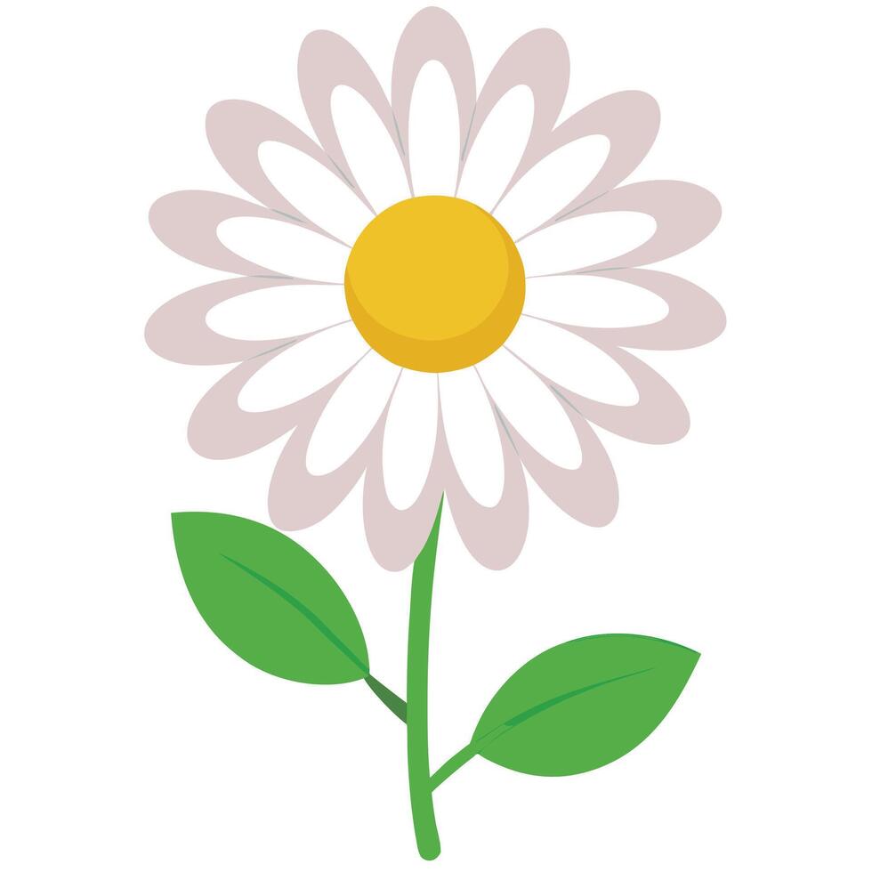 Isolated Daisy Flower Clipart with Light Pink Petals on White Background vector