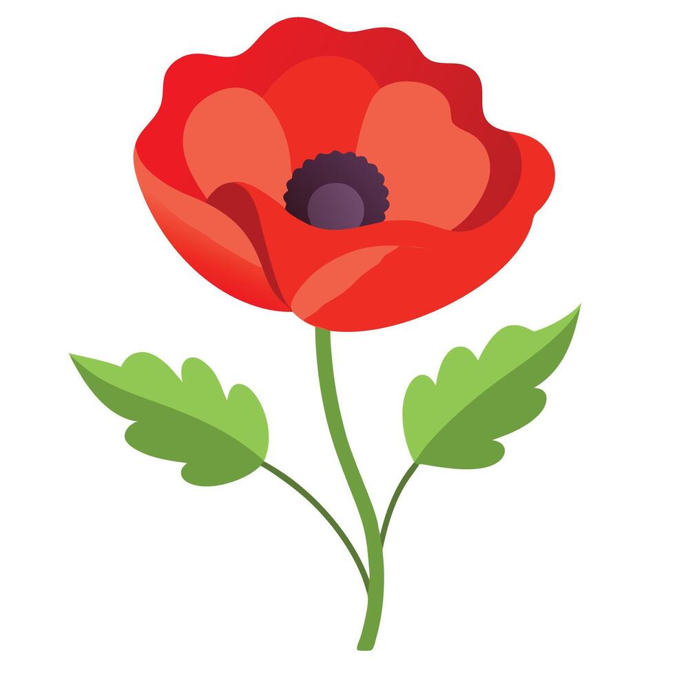 Stylized Red Poppy with Green Leaves on White Background vector