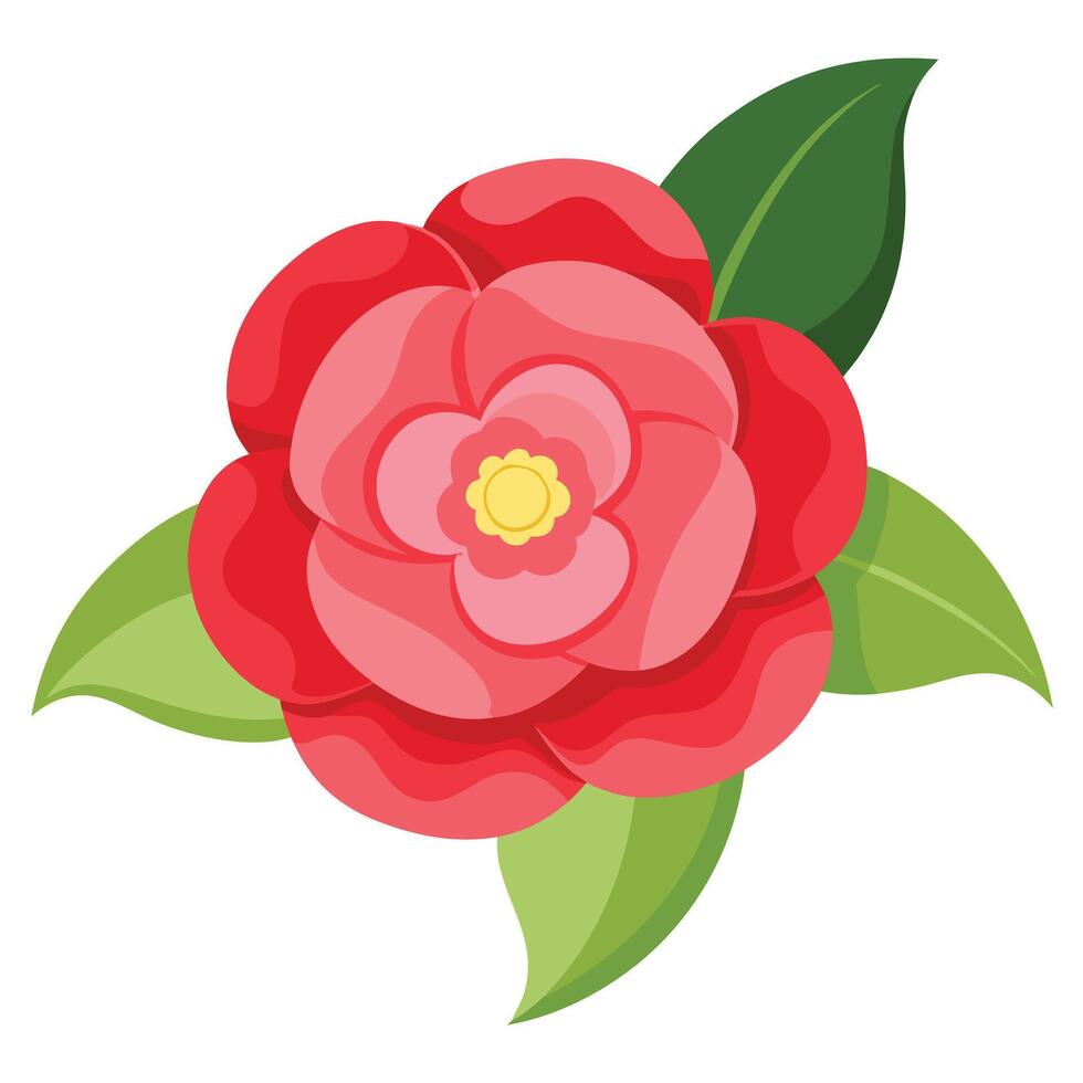 Pink Camellia Flower Bloom with Yellow Center and Green Leaves Isolated vector