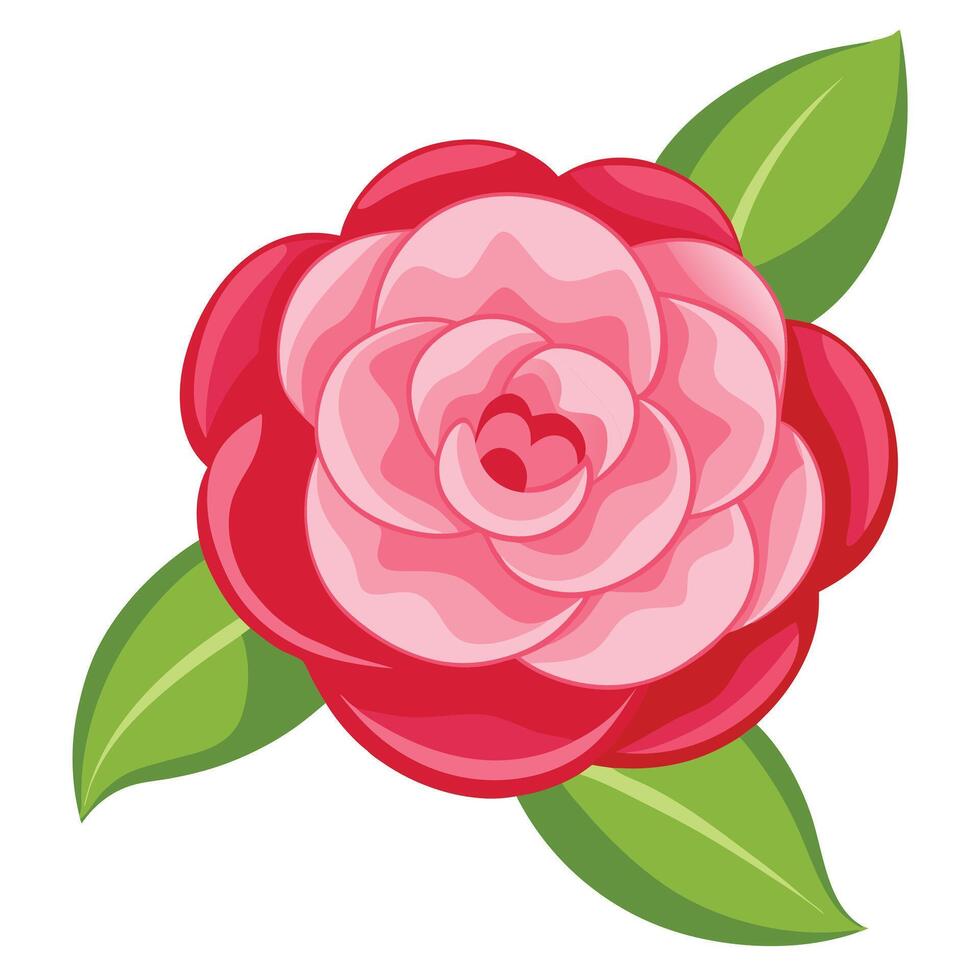 Cartoon Pink Camellia Flower with Green Leaves on Transparent Background vector