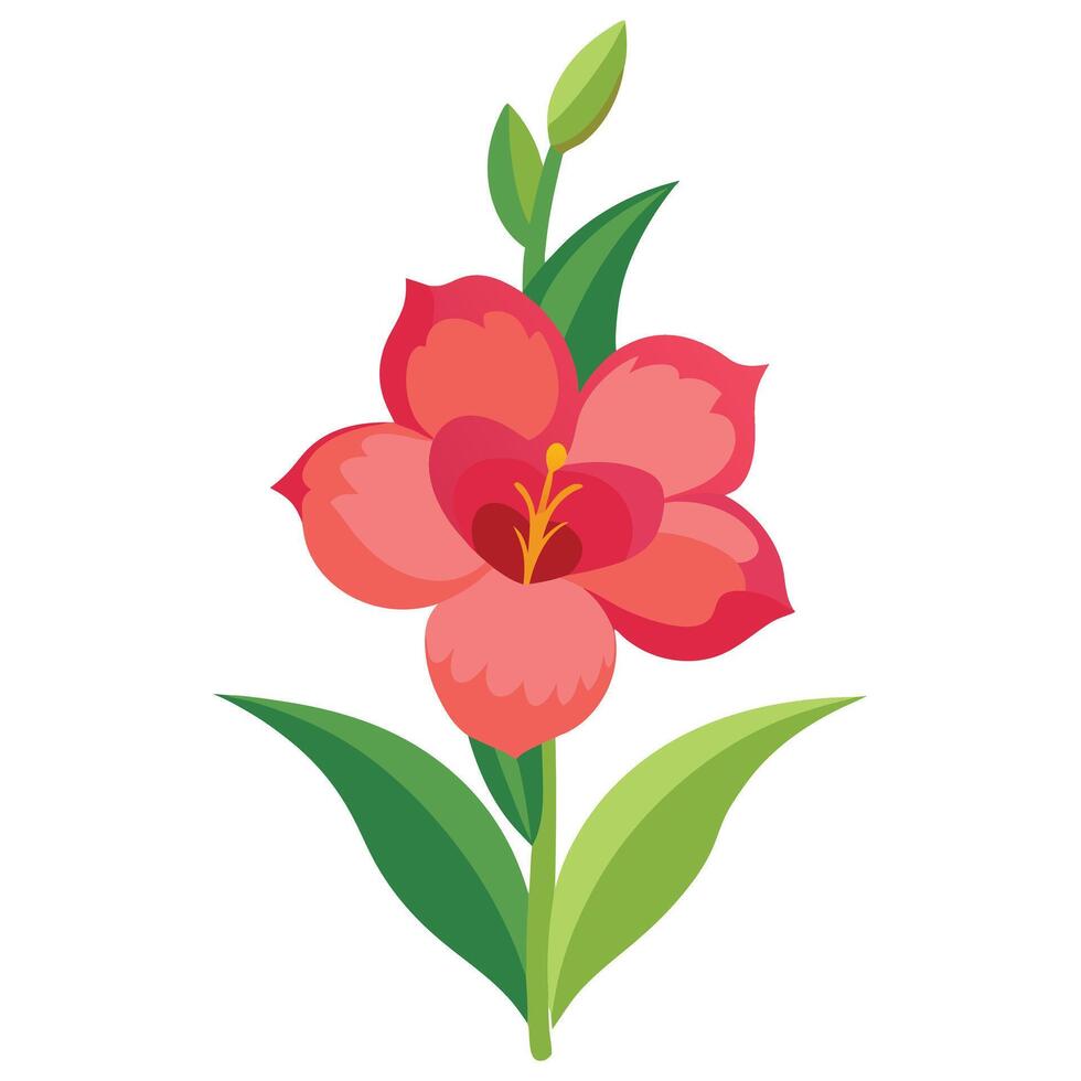 Elegant Coral Amaryllis Flower with Green Leaves on White Background vector