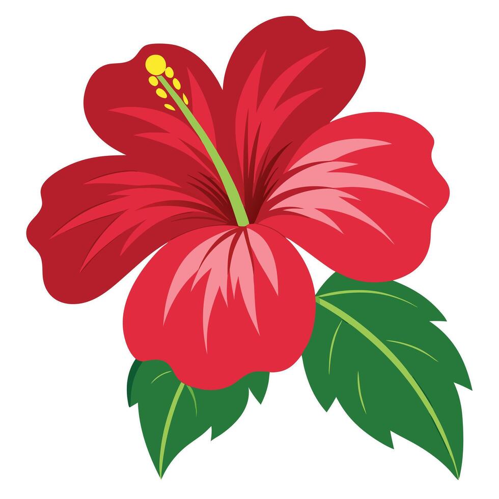Flat Design of Red Hibiscus Flower with Leaves Isolated on White Background vector
