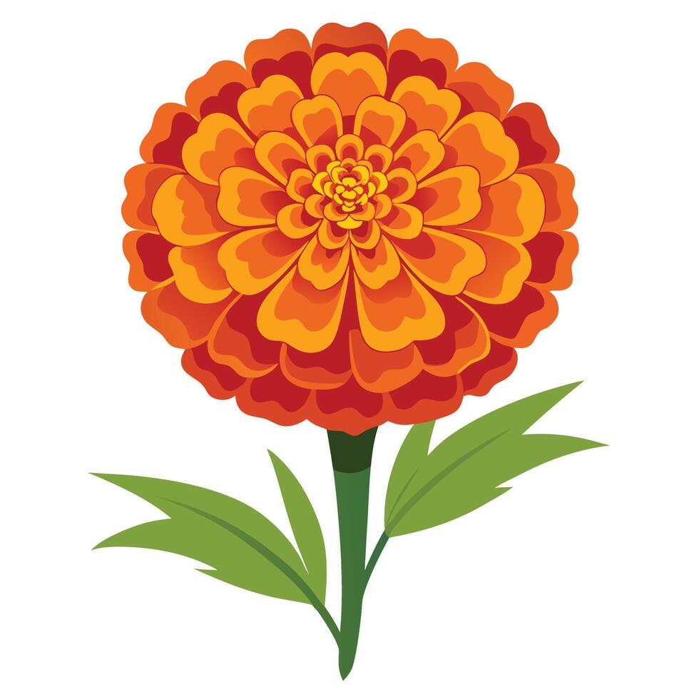 Isolated Marigold Flower with Green Leaves on Transparent Background Flat Style vector