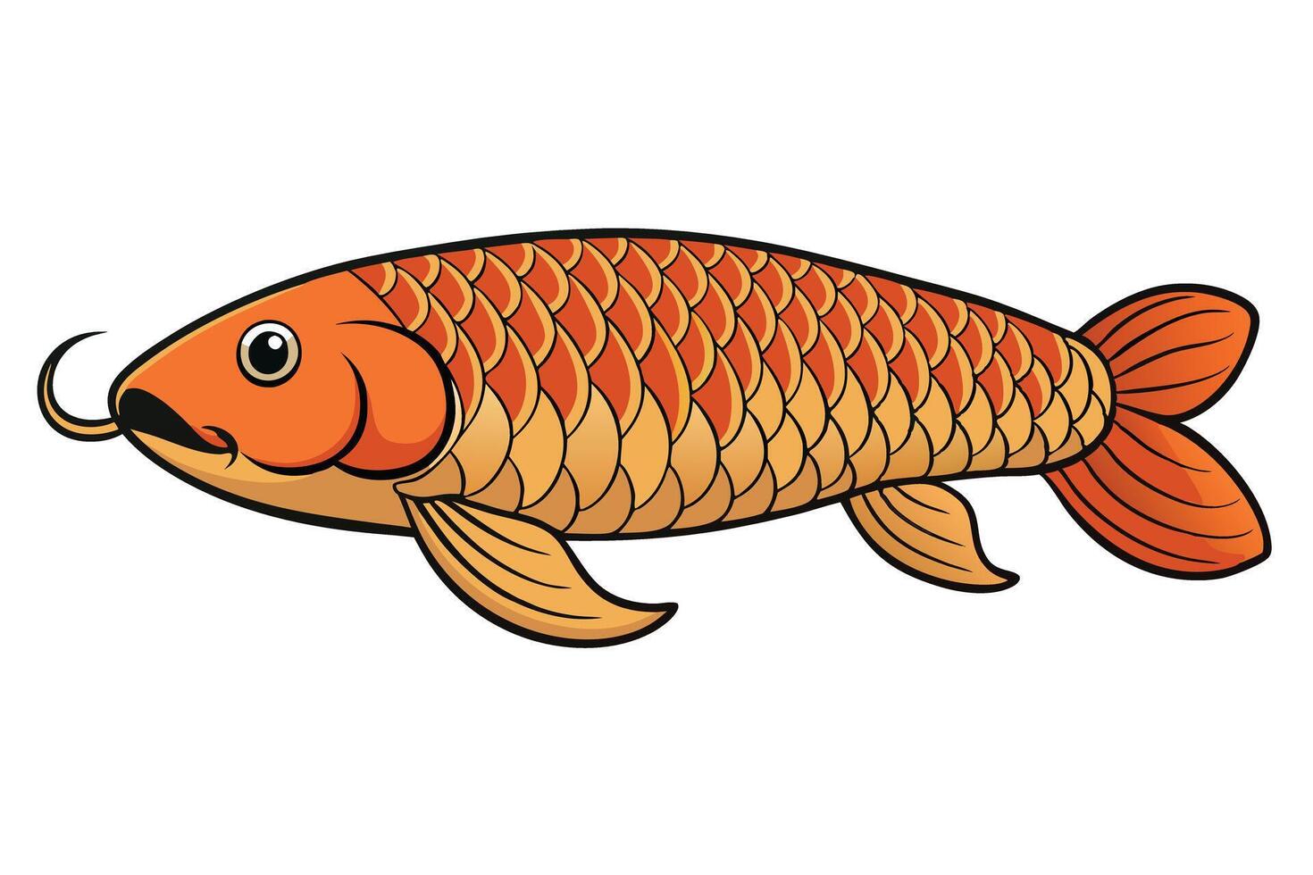 Colorful Orange Koi Fish with Scales on a Transparent Background vector