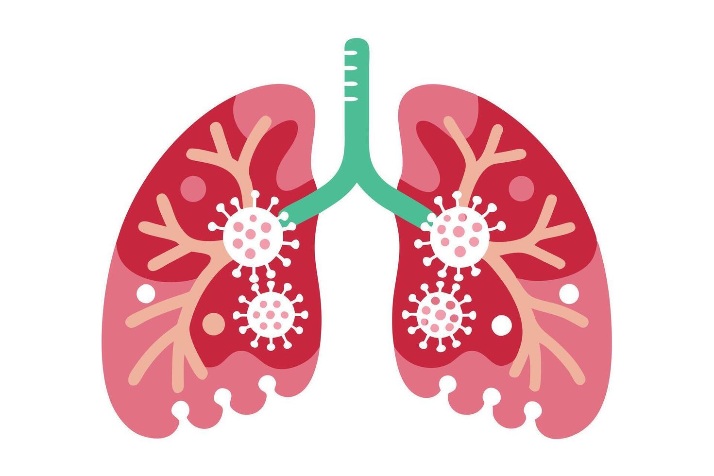 Lungs with Virus Cells Flat Design, Respiratory System, Anatomical, Biomedical vector