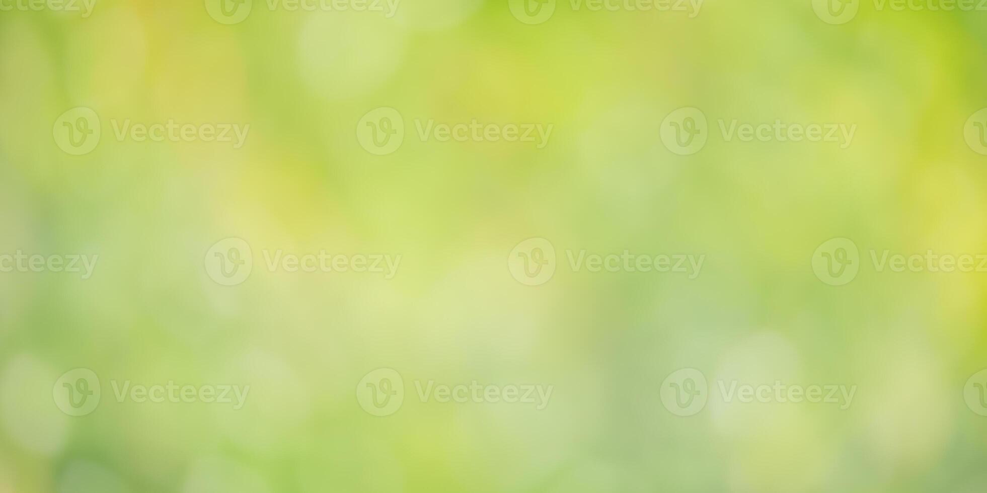 Defocus light background green with yellow. Abstract natural background. photo