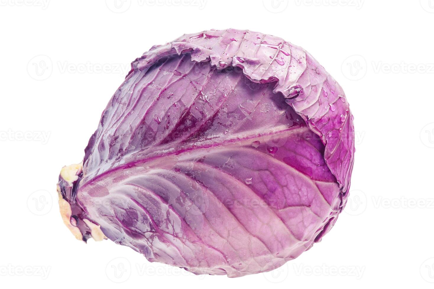 Ripe red cabbage on white background photo