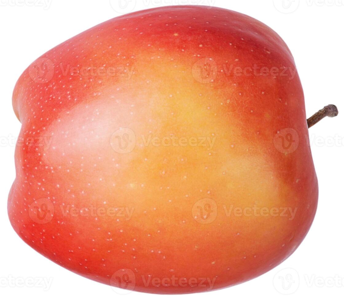 Red apple with yellow isolated on white background. One apple. Fruit. photo