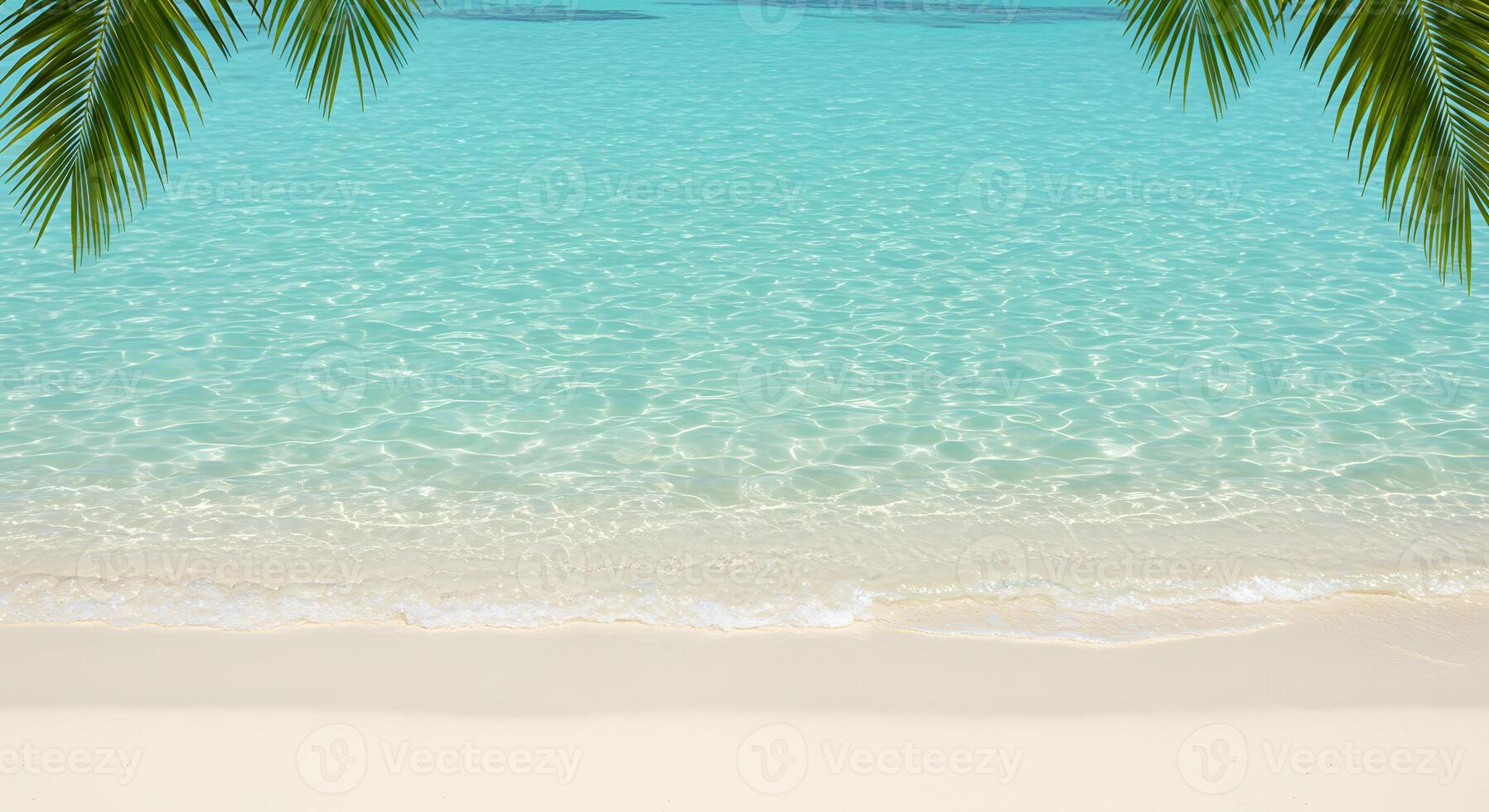 A beach with palm trees and a clear ocean photo