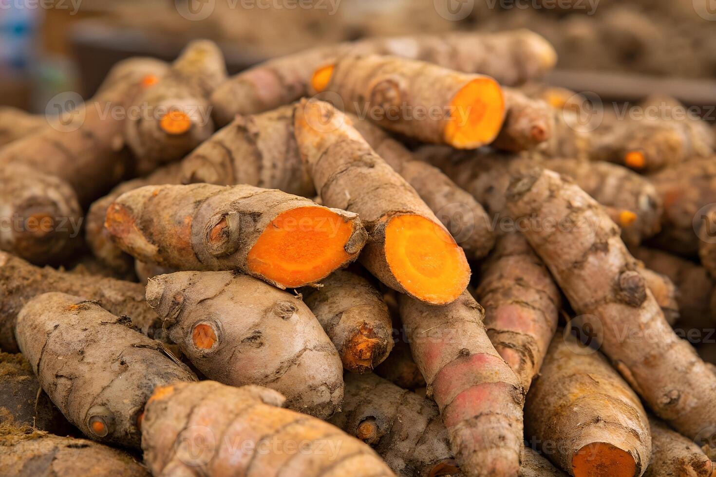 Pile of Fresh Turmeric Roots with Sliced Sections photo