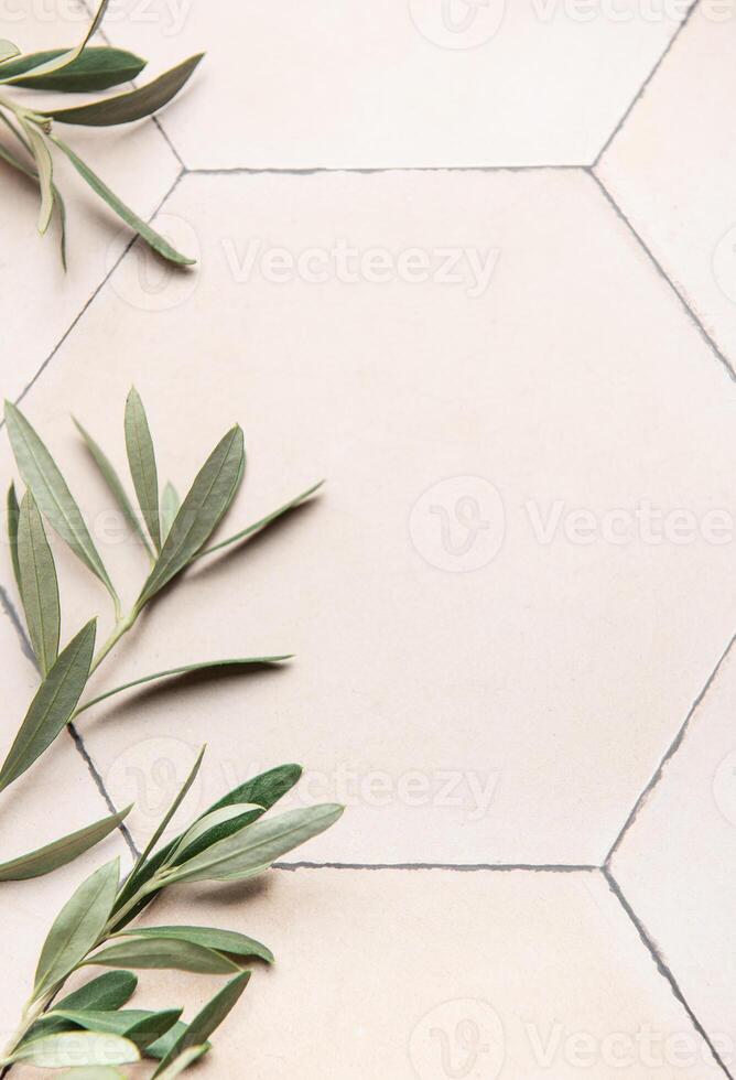 Olive branches framing hexagonal tile background with copy space photo
