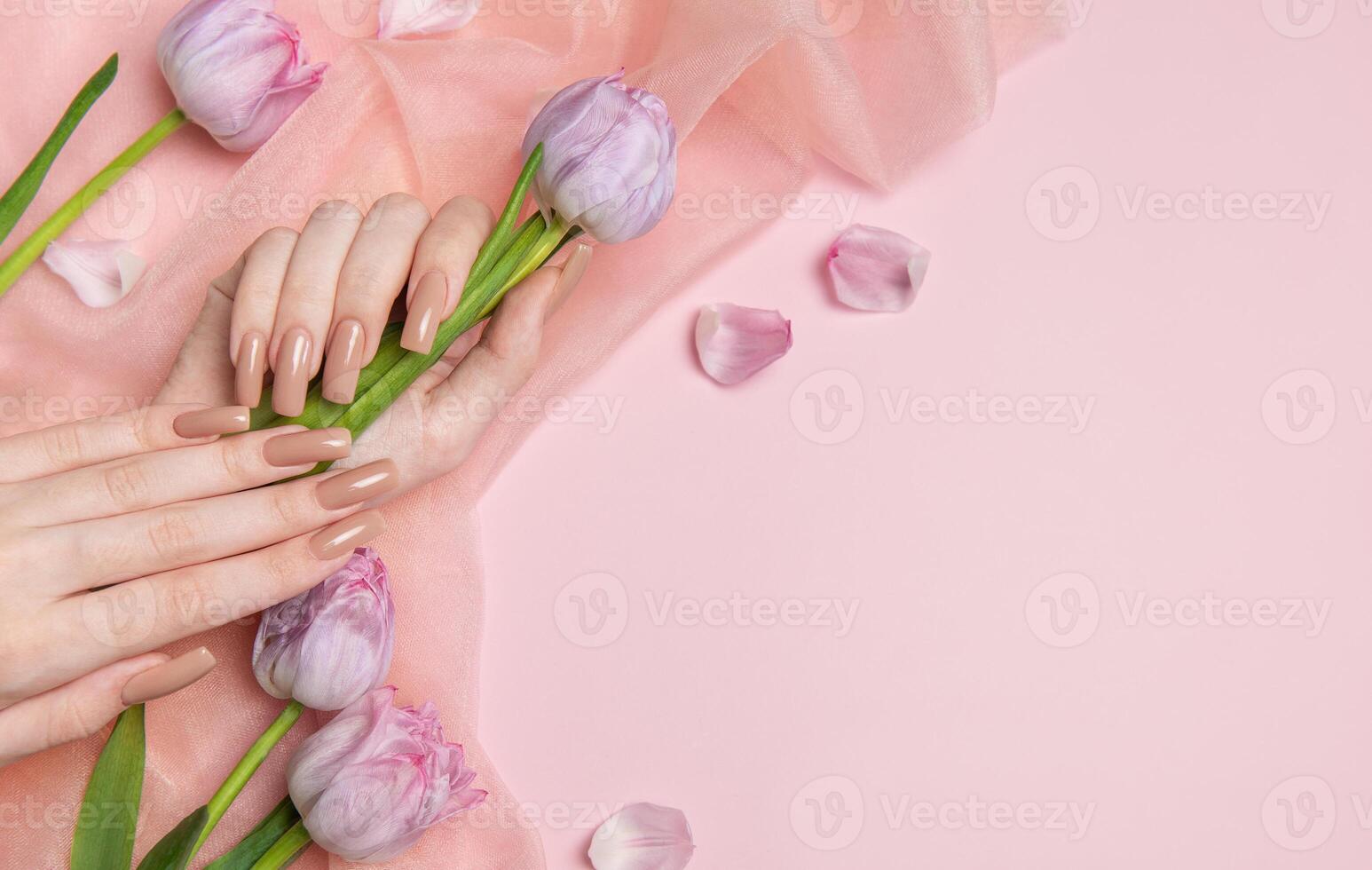 Woman hands with nude manicure holding pink tulips on pink background photo