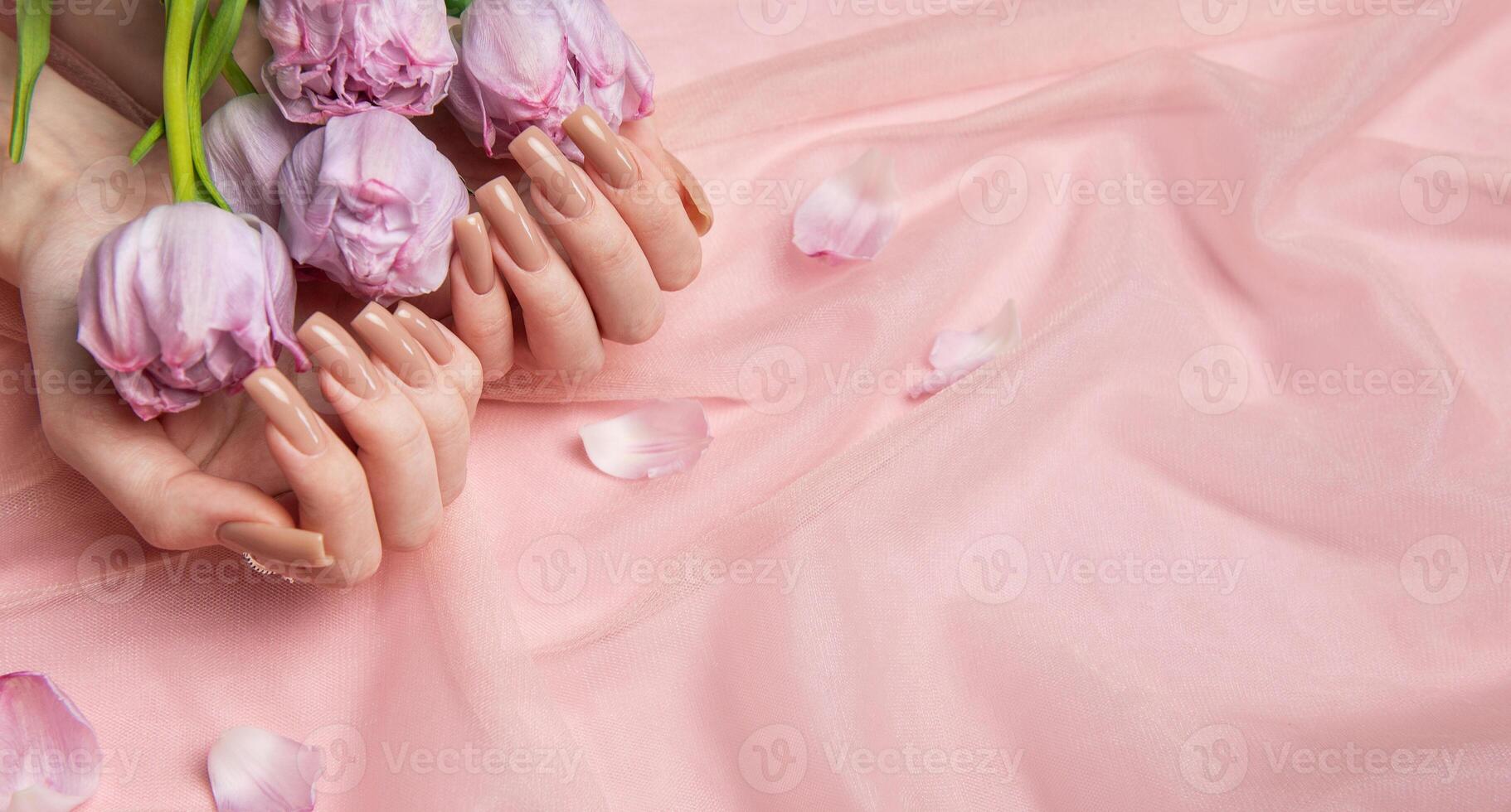 Woman hands holding tulips showing nude manicure on pink background photo