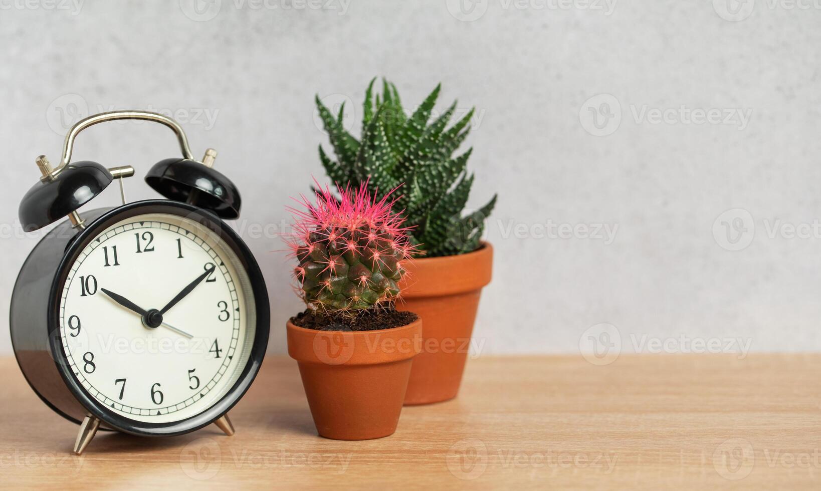 Alarm clock showing with cactus and succulents in terracotta pots on wooden table photo
