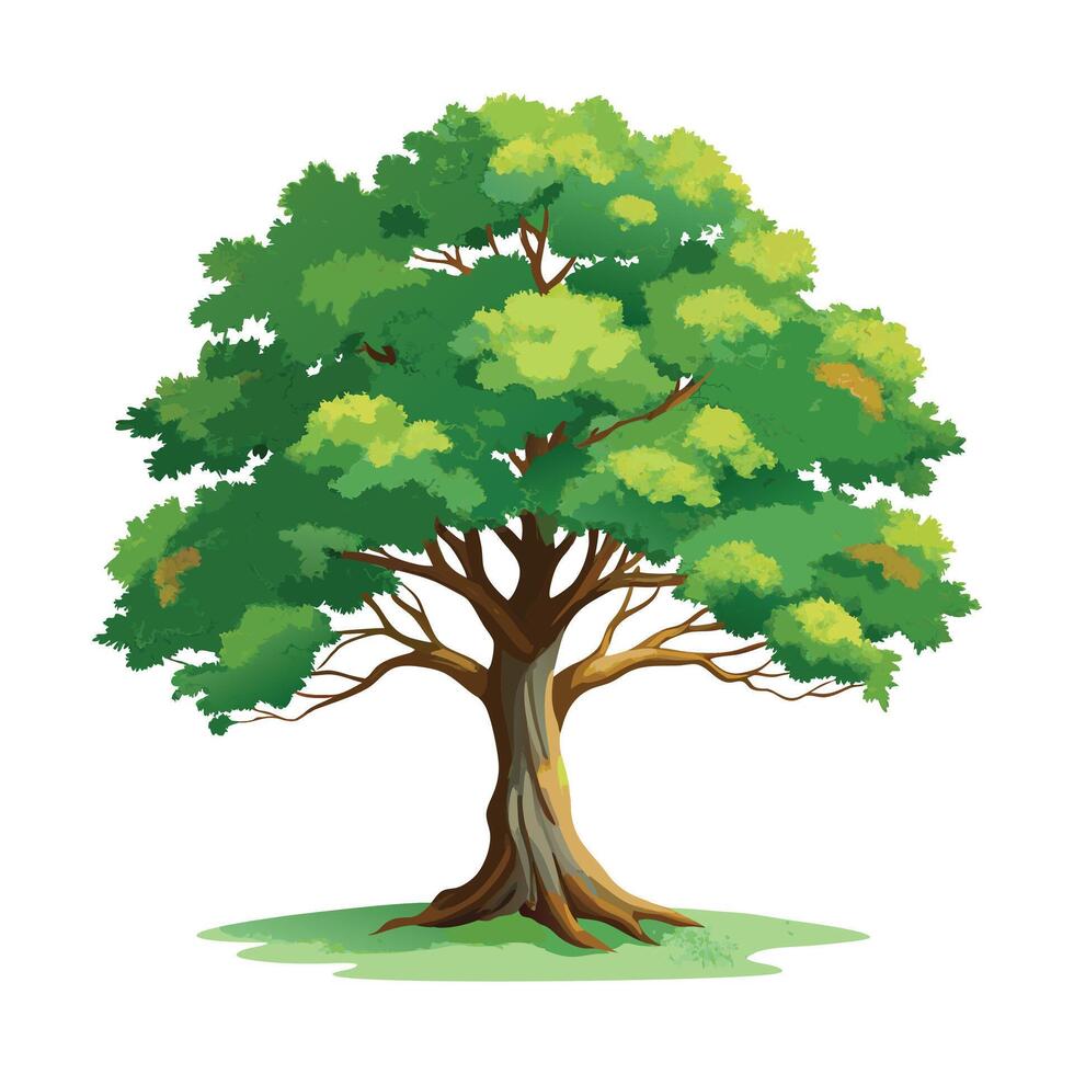 Green Trees Illustration for Seasonal, Nature, Designs vector