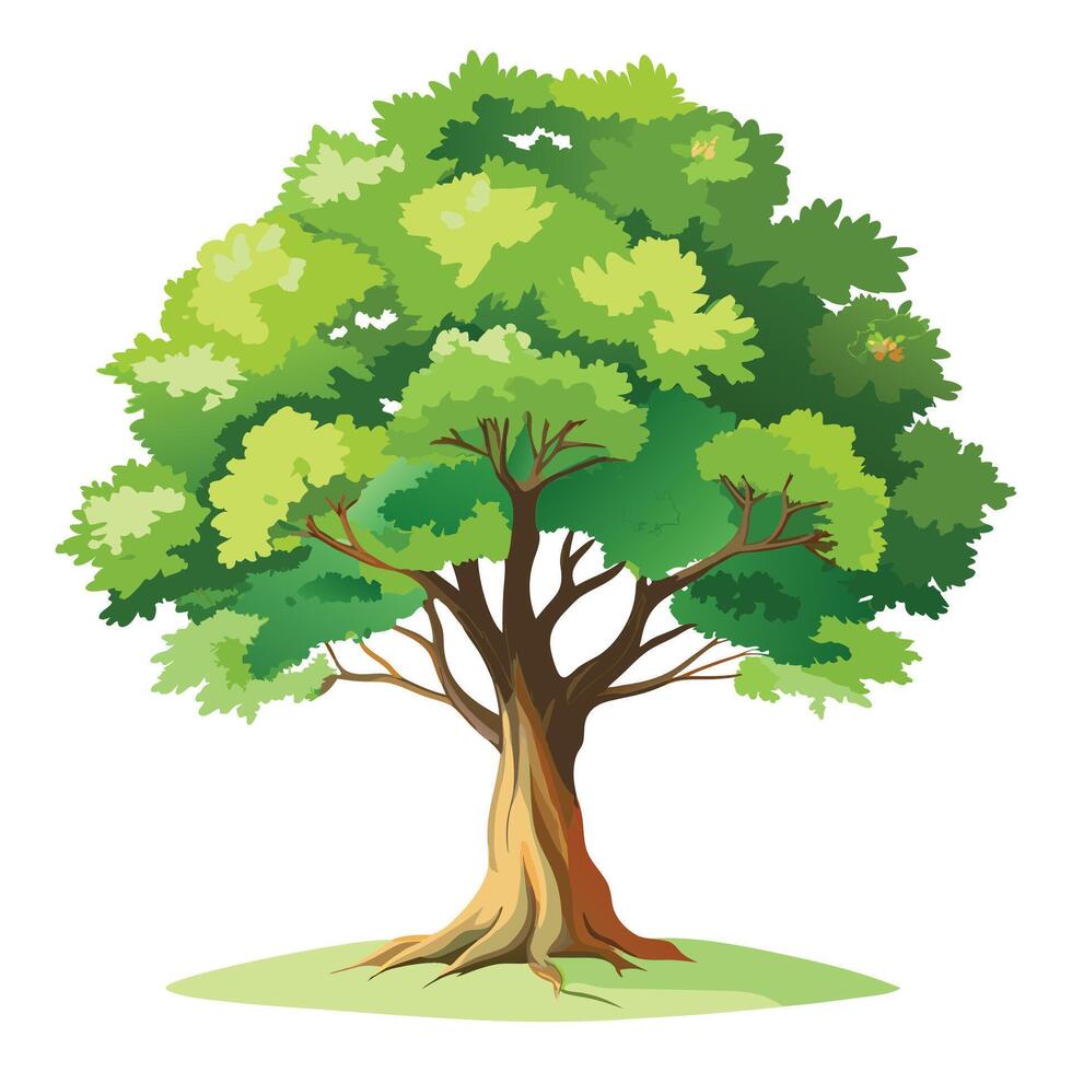 Green Trees Illustration vector