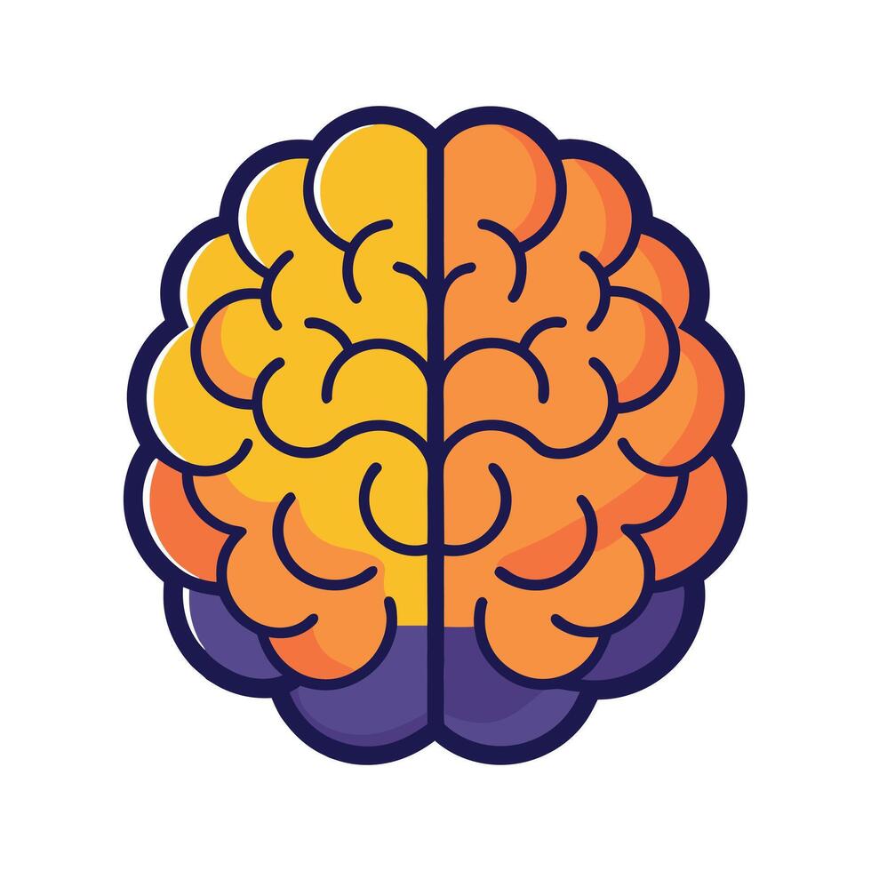 Brain Half Creative and Half Analytical Concept Illustration for Science and Education vector