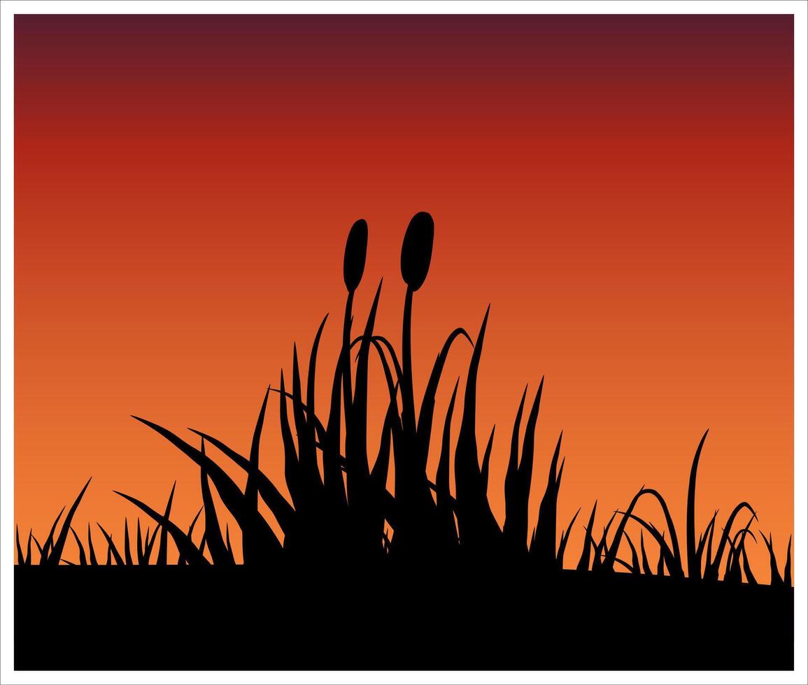 Grass silhouette on sunset. vector