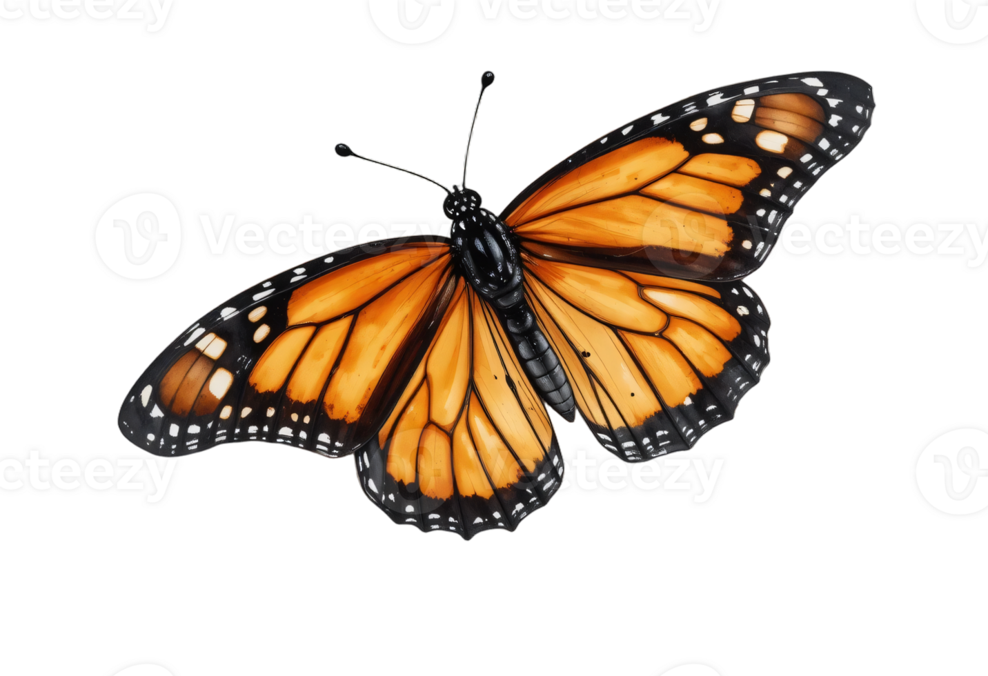 A Butterfly Hovering Mid Air, with Wings Painted in A Fiery Blend of Red, Orange, and Gold, , Transparent Background png