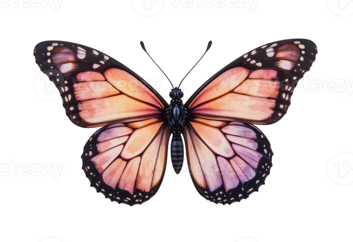 Ombre Watercolor Butterfly, , Soft Sunrise Pastel Palette, Transparent Background png