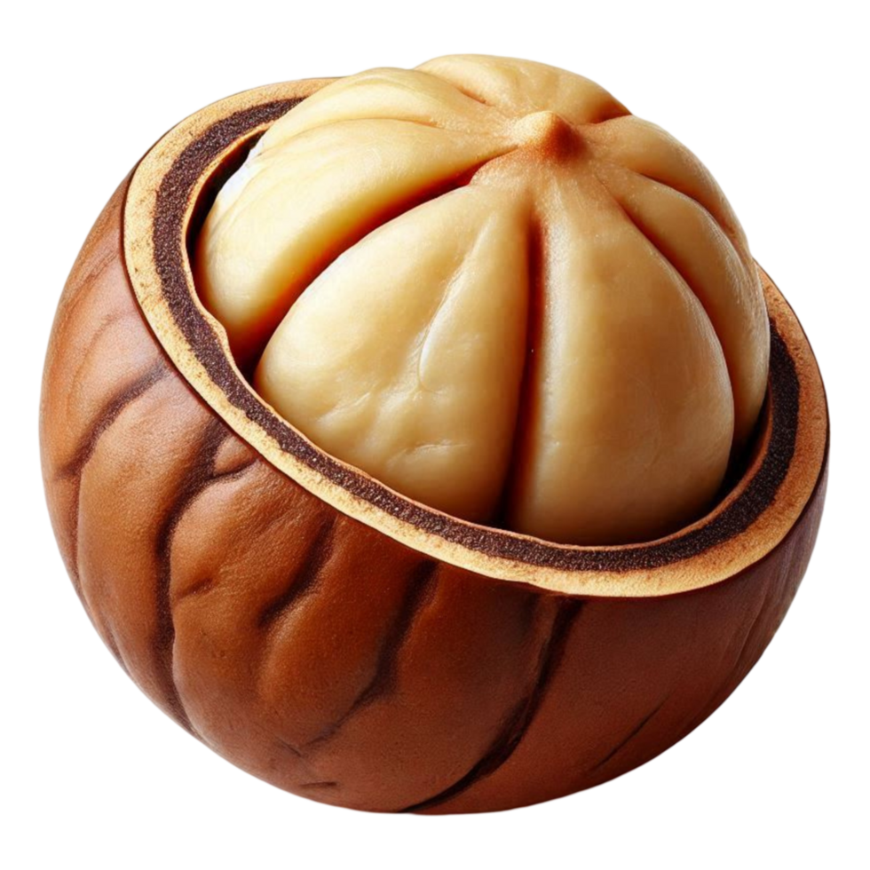 Round Shell Nut Split Open Revealing Lotus-Shaped Inner Fruit png