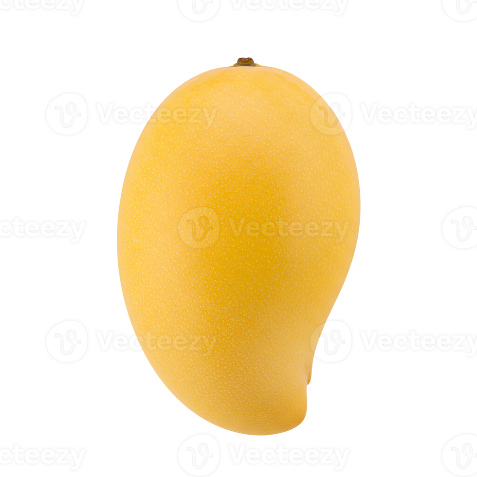 A single ripe mango fruit with a smooth yellow skin isolated against a plain background image view transparent background png