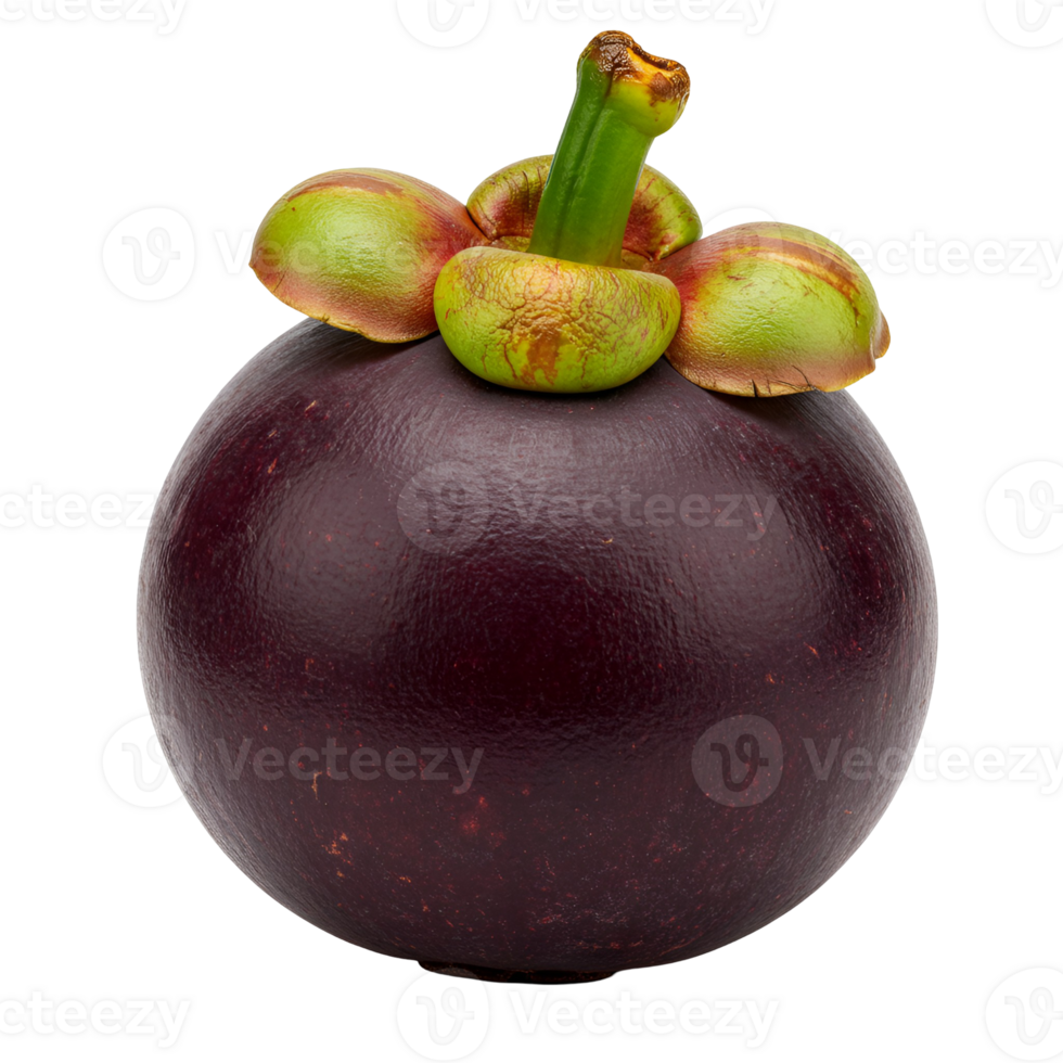 Isolated close up of a whole mangosteen fruit with green stem and sepals on a plain backdrop view transparent background png