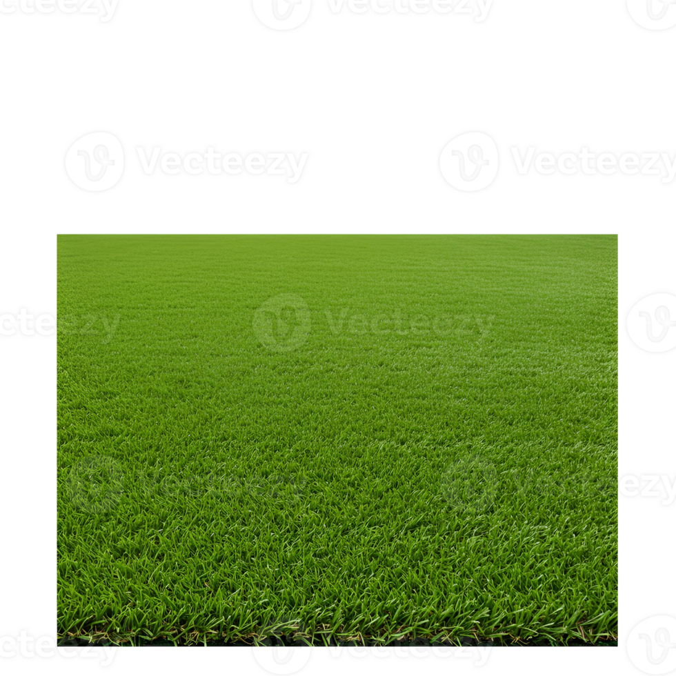 An expansive view of a vibrant green field extending into the distance under a neutral sky above it transparent background png